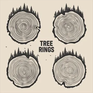 Round tree trunk cuts with trees, forest and birds. Sawn pine or oak slices Stock Illustration
