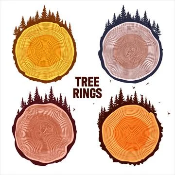 Round tree trunk cuts with trees, forest and birds. Sawn pine or oak slices Stock Illustration