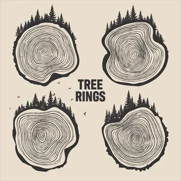 Round tree trunk cuts with trees, forest and birds. Sawn pine or oak slices Stock Illustration