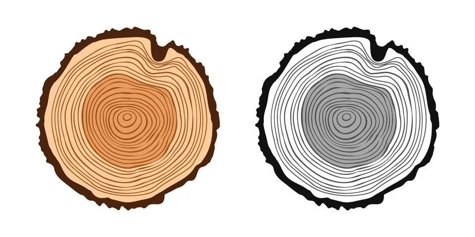 Round tree trunk cuts in various colors, sawn pine or oak slices, lumber. Saw Stock Illustration