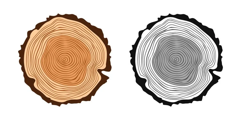 Round tree trunk cuts in various colors, sawn pine or oak slices, lumber. Saw Stock Illustration