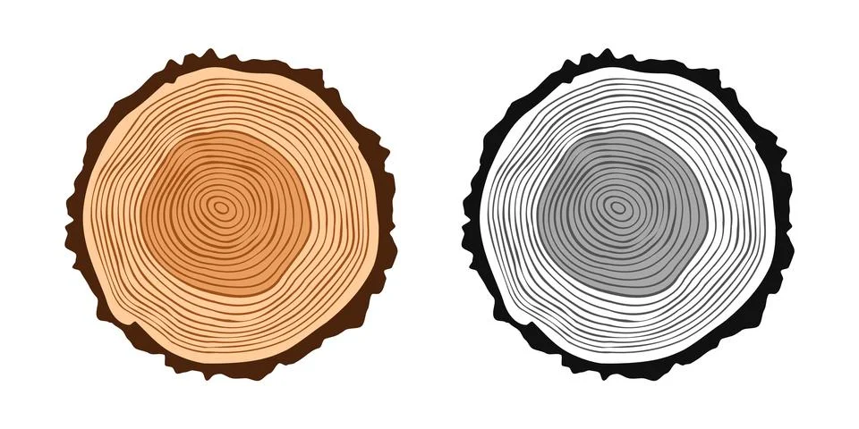 Round tree trunk cuts in various colors, sawn pine or oak slices, lumber. Saw Stock Illustration