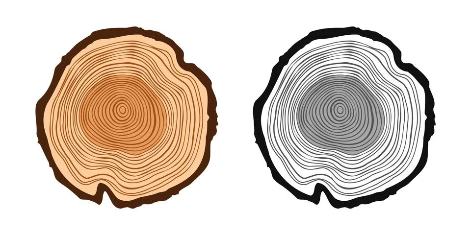 Round tree trunk cuts in various colors, sawn pine or oak slices, lumber. Saw Illustrazione stock