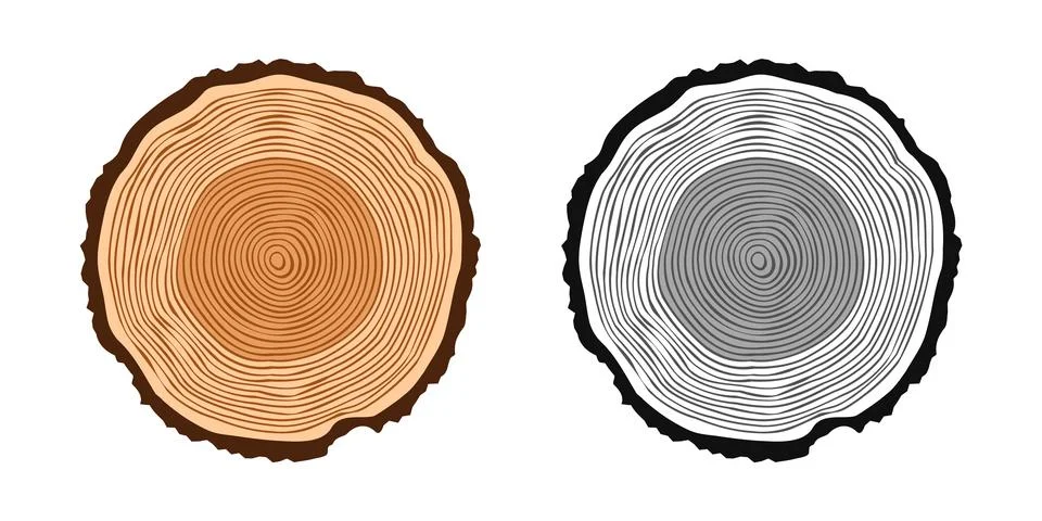 Round tree trunk cuts in various colors, sawn pine or oak slices, lumber. Saw Stock Illustration