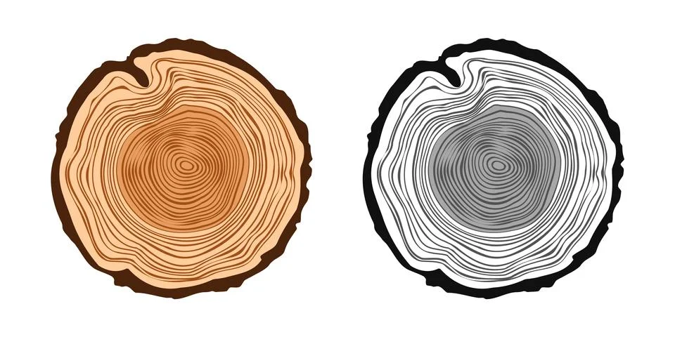 Round tree trunk cuts in various colors, sawn pine or oak slices, lumber. Saw Stock Illustration