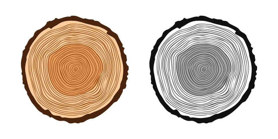 Round tree trunk cuts in various colors, sawn pine or oak slices, lumber. Saw Stock Illustration