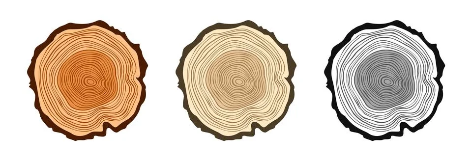 Round tree trunk cuts in various colors, sawn pine or oak slices, lumber. Saw Illustrazione stock