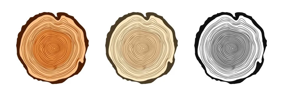Round tree trunk cuts in various colors, sawn pine or oak slices, lumber. Saw 스톡 일러스트