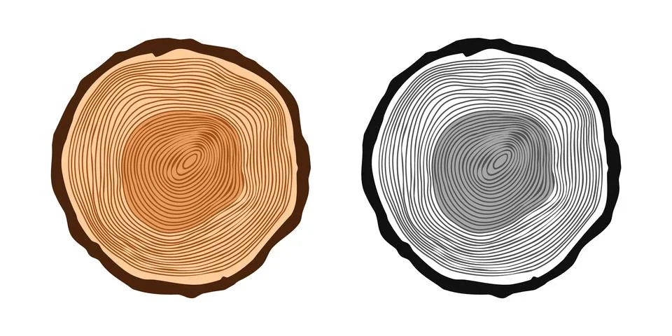 Round tree trunk cuts in various colors, sawn pine or oak slices, lumber. Saw Stock Illustration