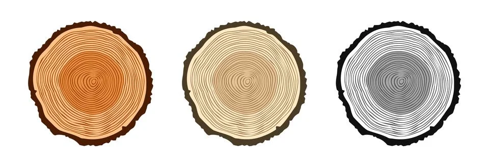 Round tree trunk cuts in various colors, sawn pine or oak slices, lumber. Saw Stock Illustration
