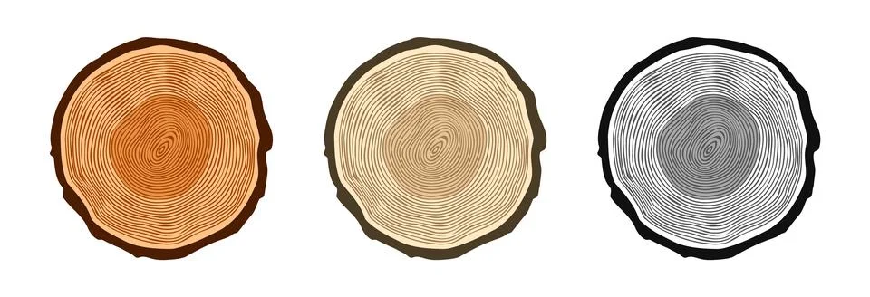 Round tree trunk cuts in various colors, sawn pine or oak slices, lumber. Saw Stock Illustration