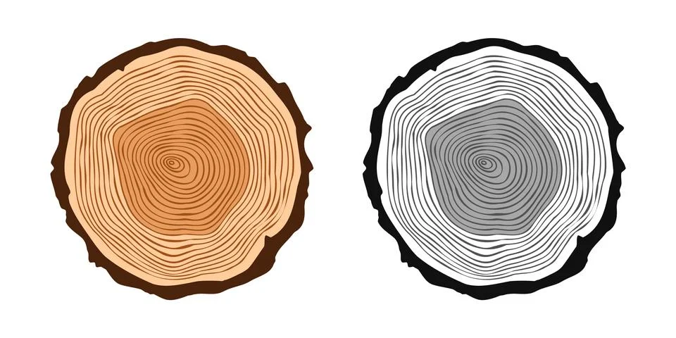 Round tree trunk cuts in various colors, sawn pine or oak slices, lumber. Saw Illustrazione stock