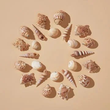 Round vacation frame of brown shells on a beige background with hard shadows. Stock Photos
