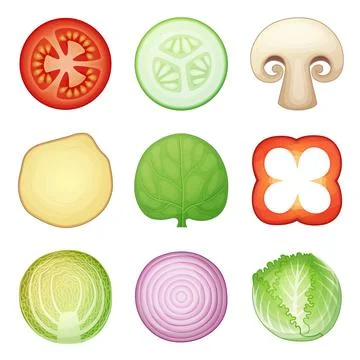 Round vegetable halves vector icons isolated on white background. Fresh spinach Illustrazione stock