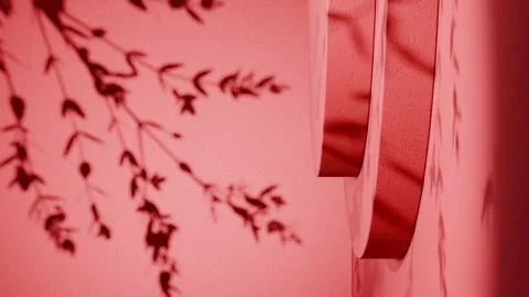 Round vertical podium casting leaf shadows on red background. Minimal studio Stock Footage 307171532
