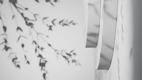 Round vertical podium casting leaf shadows on white background. Minimal studio Stock Footage 307171545