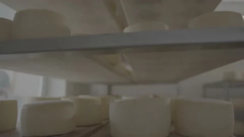 Round white cheese rack Stock Footage 222016420