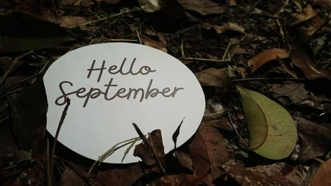  A round white sign with the text Hello September placed on a forest floor Stock Footage 342388590
