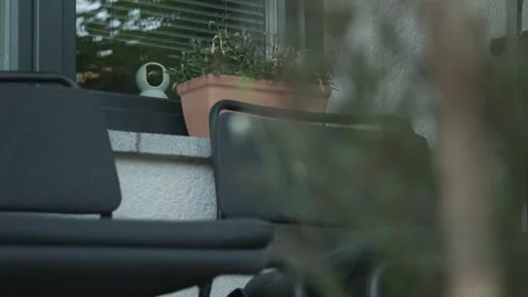 A round white smart security camera sits on an indoor windowsill behind glass Stock Footage 340957326