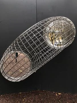 Round windows and  three-dimensional steel grid Stock Photos