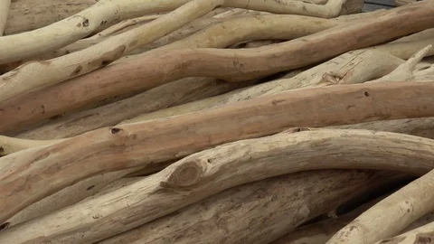 Round wooden logs without bark Stock Footage 107465247