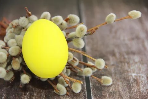 Round yellow Easter egg and willow branches on  wooden background Stockfoto's