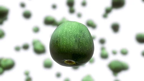 Round Zucchini Floating On a Vibrant White Out of Focus Background Stock Footage 72299691