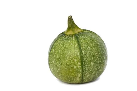 Round zucchini Stock Photos