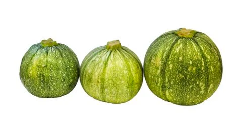 Round zucchini . Stock Photos