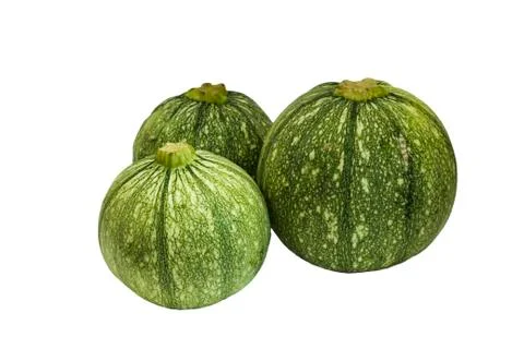 Round zucchini . Stock Photos