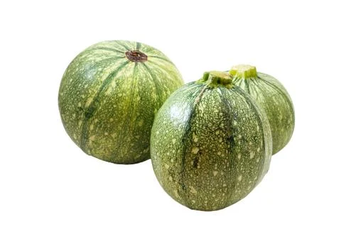 Round zucchini . Stock Photos