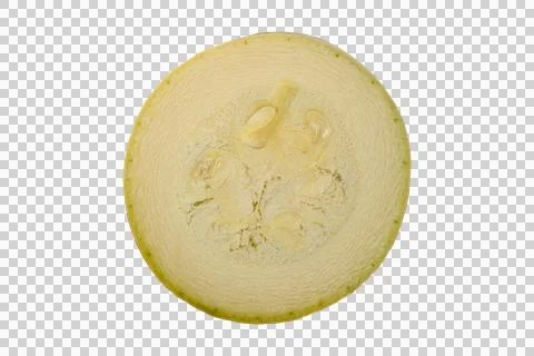 Round zucchini slice cross section showing seeds and moist flesh Fotos Stock
