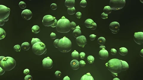 Round Zucchinis Floating on a Black Background 库存影片 72299687