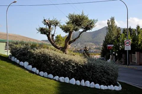 Roundabout decorated 写真素材