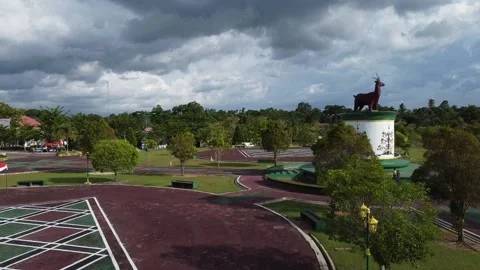 Roundabout Of Deer 1 Stock Footage 236343160