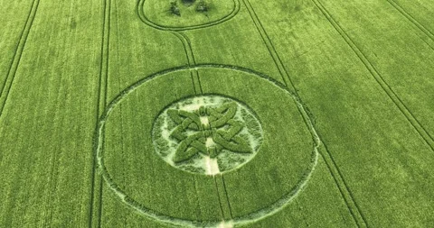 Rounded Celtic knot crop circle aerial view over Sutton Veny 2025 high value Stock Footage 310362199