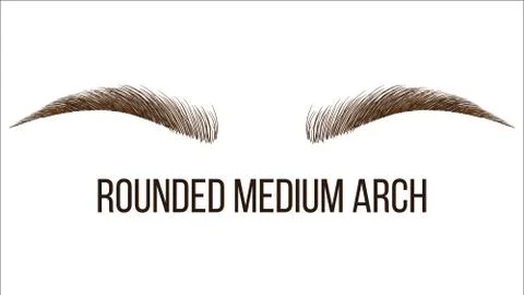 Rounded Medium Arch Vector Hand Drawn Brows Shape イラスト素材