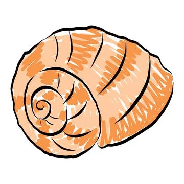 Rounded orange spiral sea shell vector illustration Stock Illustration
