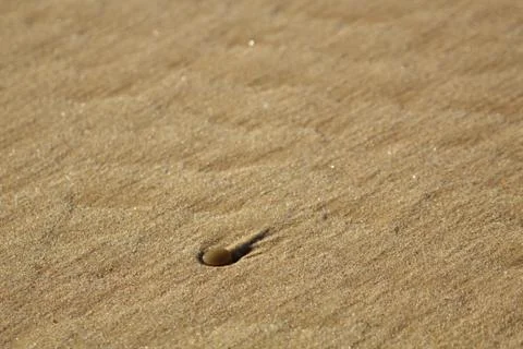 Rounded pebble on a beach Stock Photos