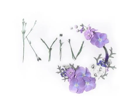 Rounded purple hydrangea flower with text Kyiv made of stems Stock-Fotos