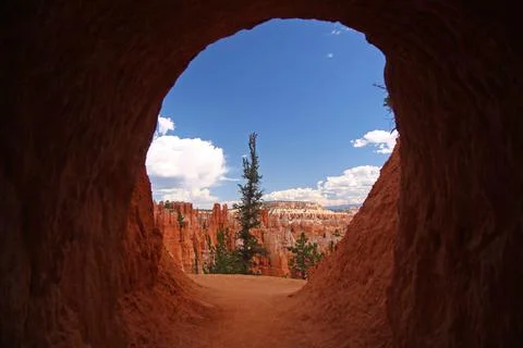 The rounded red rock cave with the pine tree in the Bryce Canyon National Par Stock Photos