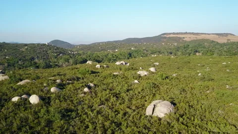 Rounded Rocks Boulders in field from an extinct glacier 4K Stock Footage 171285353
