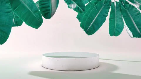 Rounded square frame product stand with falling leaves. 3D Illustration Stock Illustration