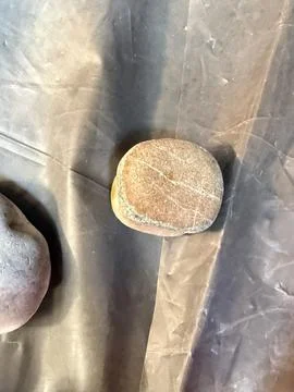 Rounded Tan Rock Specimen on a Gray Surface Stock Photos
