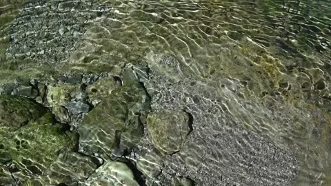 Roundish moving shadows on the ground of a mountain stream (slow motion) 스톡 동영상 260842937