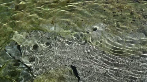 Roundish moving shadows on the ground of a mountain stream (slow motion) 스톡 동영상 260842961
