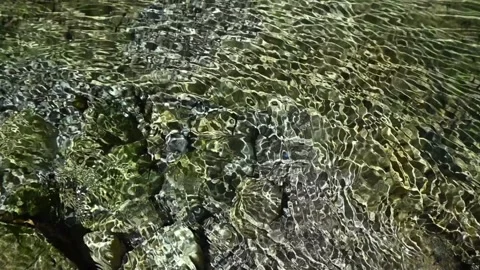 Roundish sunlight effects on the riverbed of a mountain stream (slow motion) 스톡 동영상 260842789
