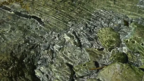 Roundish sunlight effects on the riverbed of a mountain stream (slow motion) 스톡 동영상 260842805