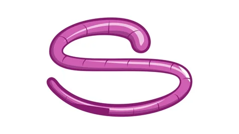 Roundworm icon animation Stock-Footage 157169835