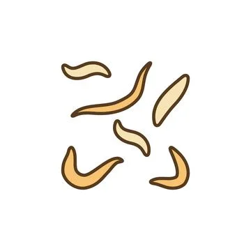 Roundworm Infection vector Ascarids concept colored icon Illustration